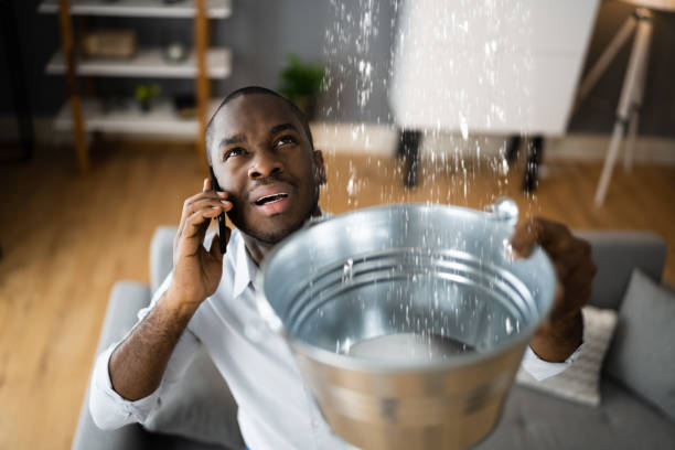 Best Flood damage cleanup  in Richwood, LA