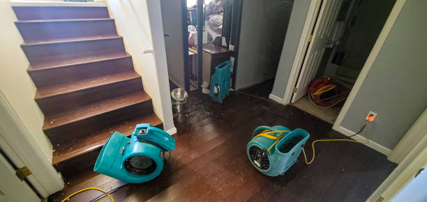 Best Fire Damage Restoration  in Richwood, LA