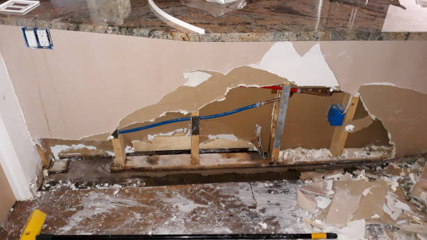  Richwood, LA Water damage restoration Pros