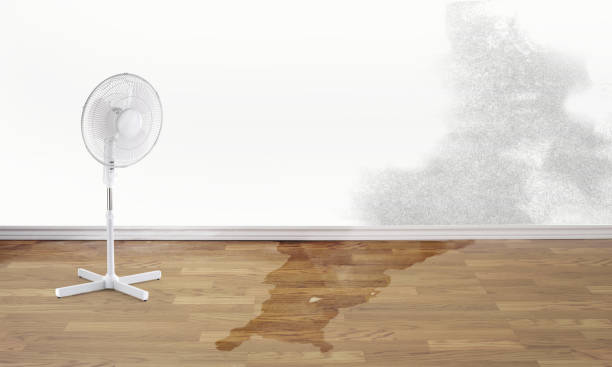 Best Residential water damage restoration  in Richwood, LA